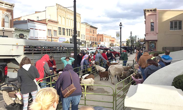 Volunteer Fair & Petting Zoo is June First Friday