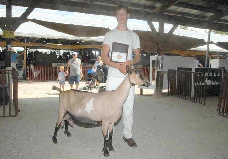 Barga Wins Goat Showmanship