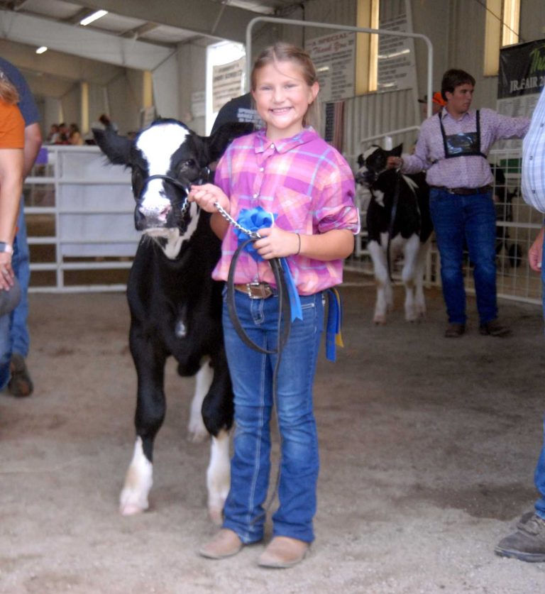 Schmitmyer stands tall in dairy calf show
