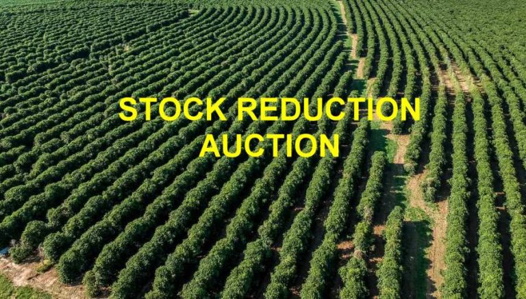 Annual Stock Reduction Auction – 9/10
