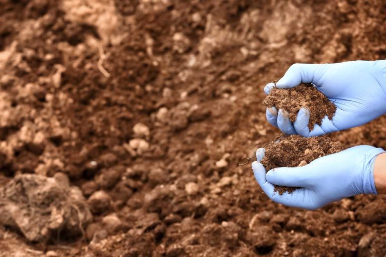 Soil Health Field Day September 29th