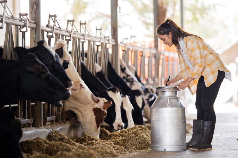 USDA Extends Milk Loss Program Assistance Deadline to Oct. 30