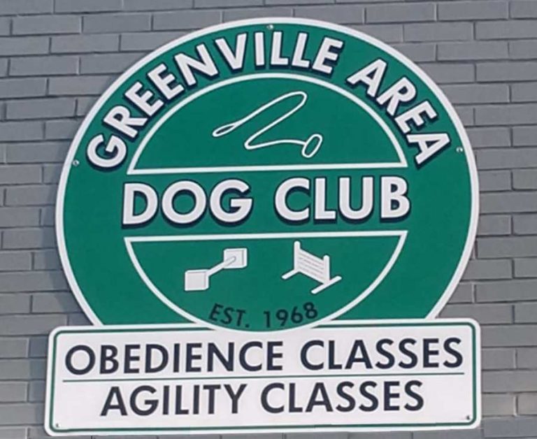 Fall session starting at Greenville Area Dog Club