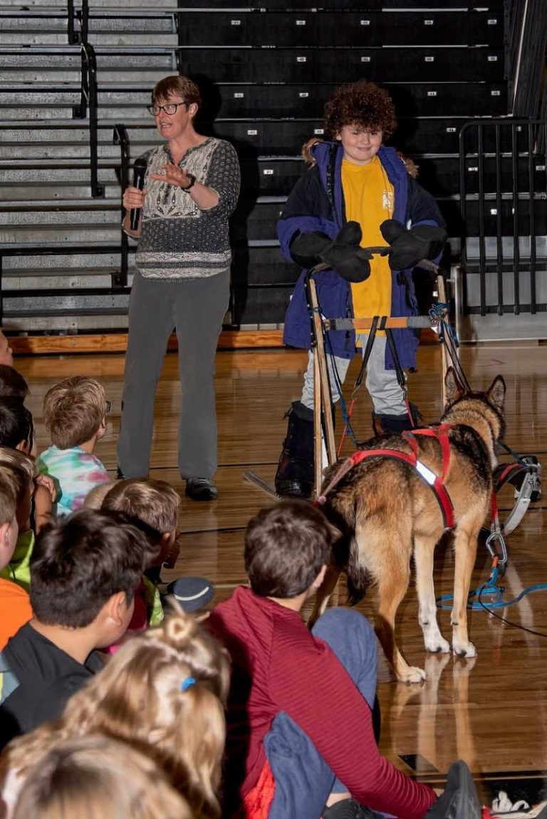 DCCA presents AIE Program featuring Sled Dogs