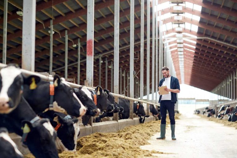 2023 Dairy Margin Coverage Deadline Extended – Jan. 31, 2023, Last Day to Enroll