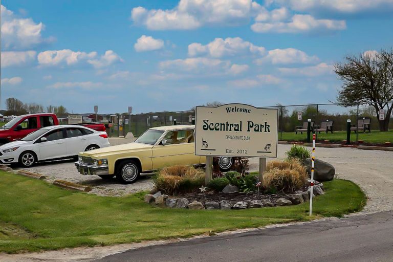 Scentral Park Dog Park Celebrates 10 Years