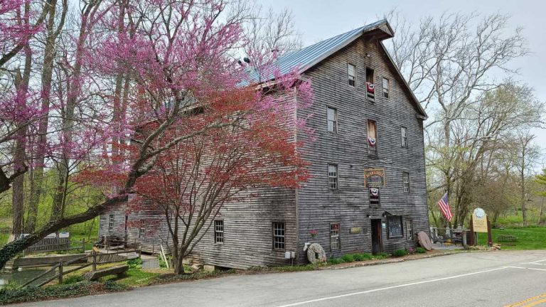 Bear’s Mill Spring Open House