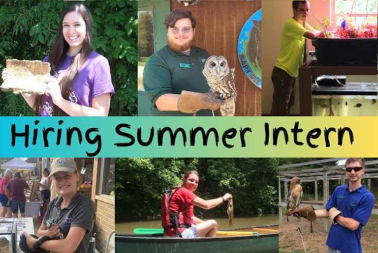 Darke County Parks is looking to hire a summer intern