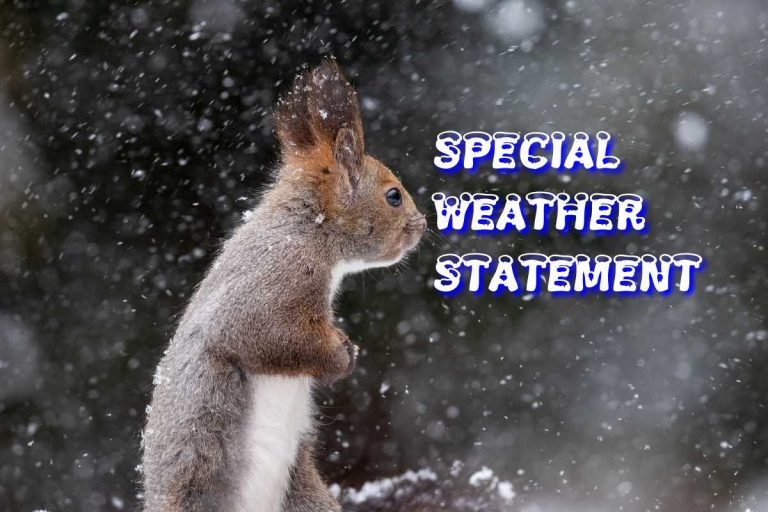 Special Weather Statement