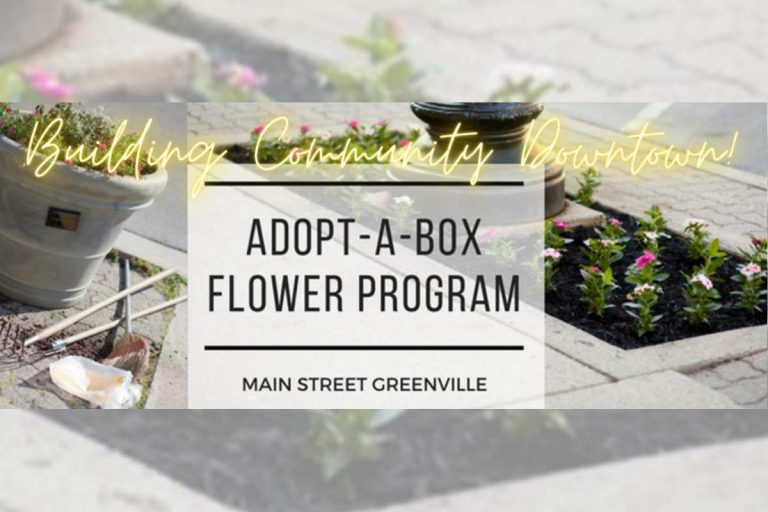 MSG starts the 2023 Adopt-A-Box Flower Program