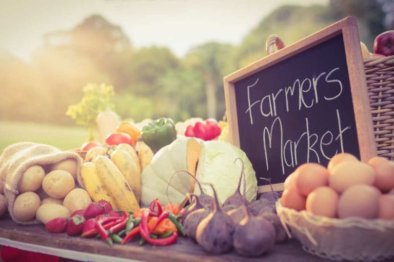 Apply Now for 2023 Senior Farmers Market Nutrition Program