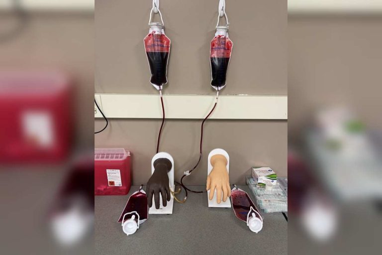 Edison State Receives Grant to Purchase Intravenous Hand Models
