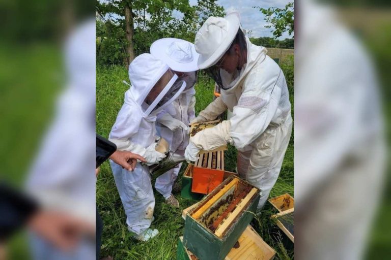 The Art of Beekeeping coming to GPL June 8