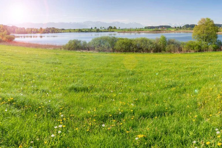 Grassland Conservation Reserve Program Signup Ends May 26