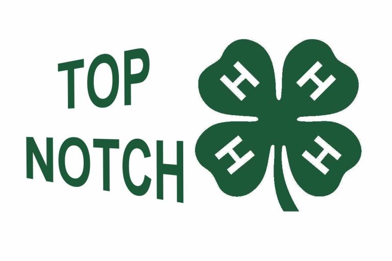 Top Notch 4 H Club holds April Meeting