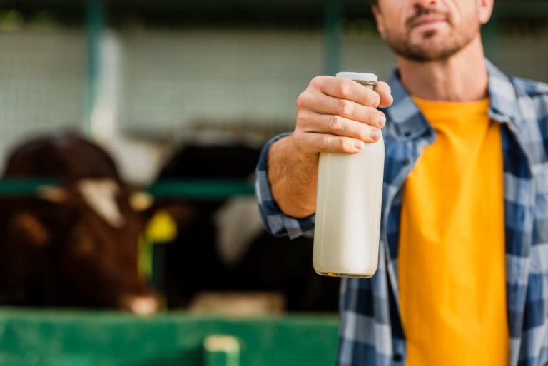 Deadline July 26 to Apply for Organic Dairy Marketing Assistance