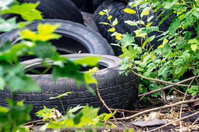 Tire Recycling Day near