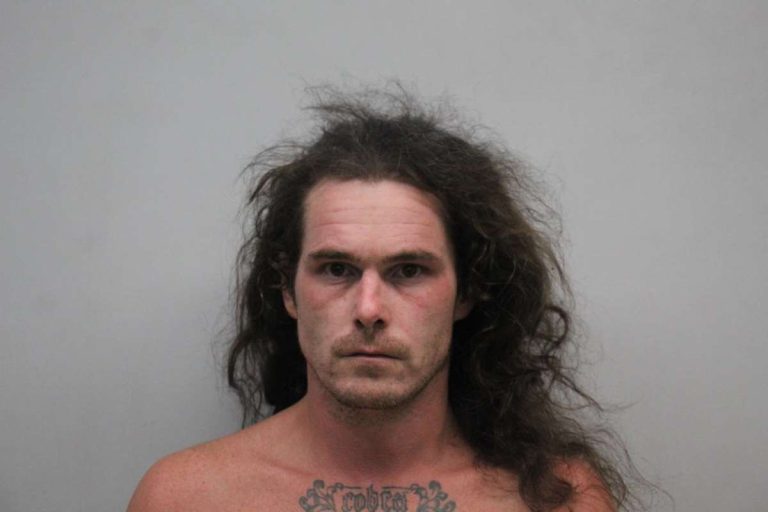Greenville man arrested after pursuit