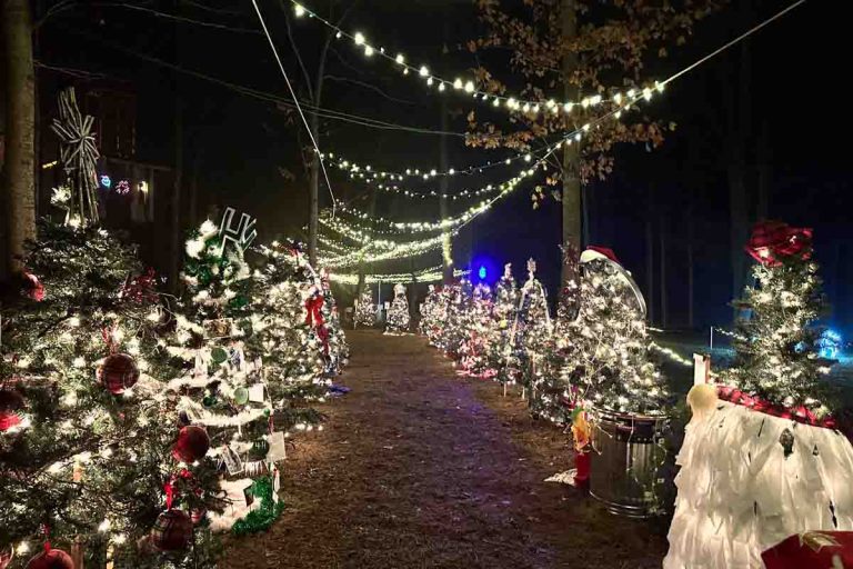The Light Foundation 4th Annual Winter Wonderland at Chenoweth Trails is December 8-10!