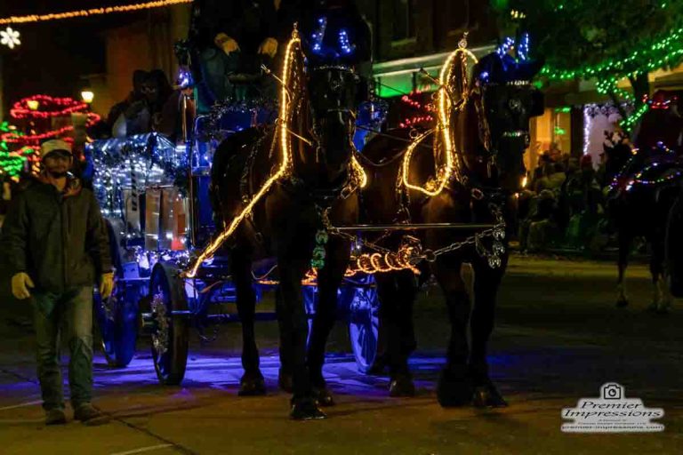 20th annual Horse Parade drew a huge crowd to Downtown Greenville