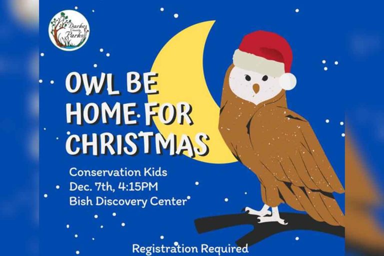 “Owl be home for Christmas” registration still open