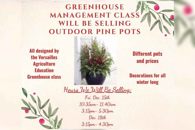 Versailles FFA will be selling Outdoor Pine Pots