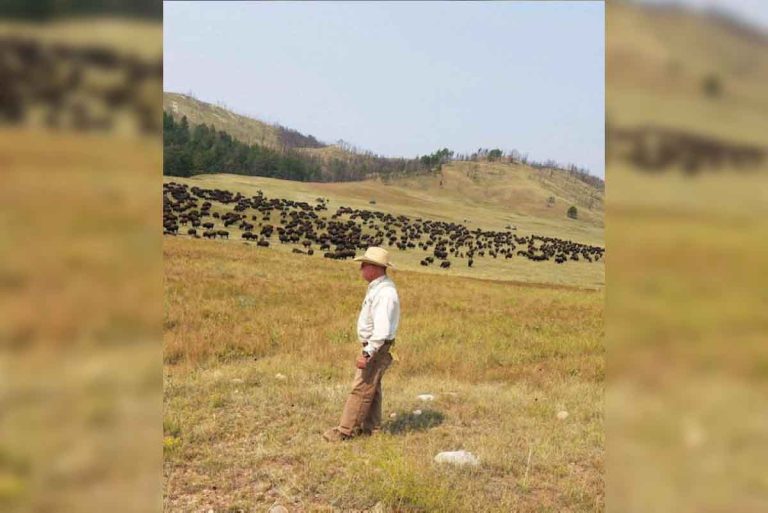 Fort GreeneVille DAR hosts Buffalo Conservation Program by Mick Maher