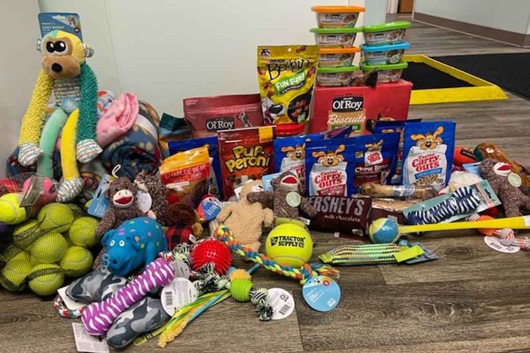 M&M Defense runs donation drive for the Animal Shelter