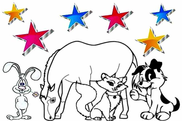 Your Pet can be a star