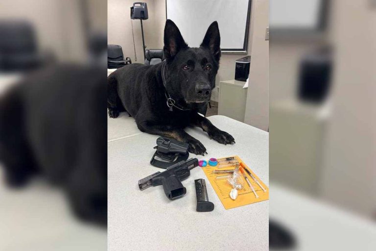 Traffic Stop leads to gun and drug related arrest