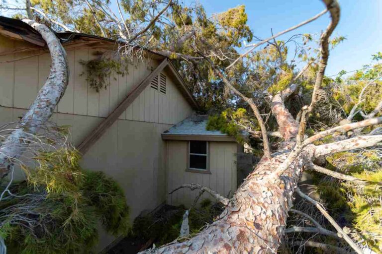 Storm Recovery Insurance Tips for Ohioans